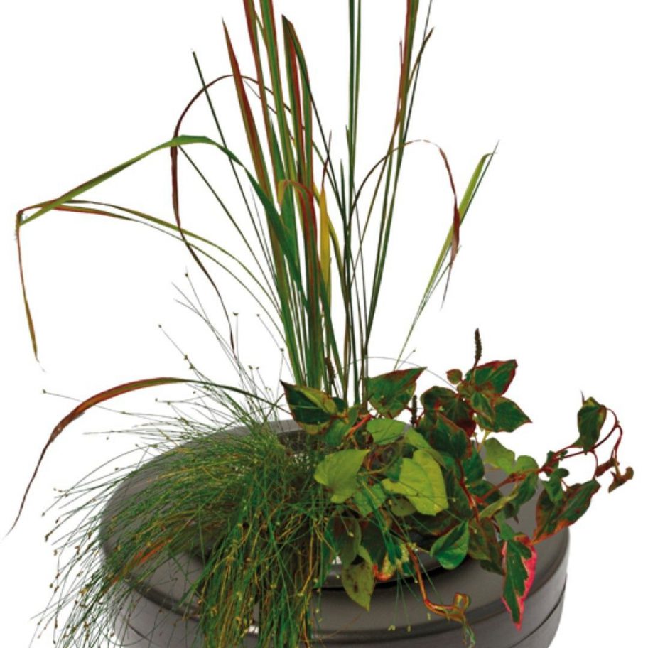 FLOATING PLANT BASKET DIAMETER 30 CM VIJVER Koi Pleasure